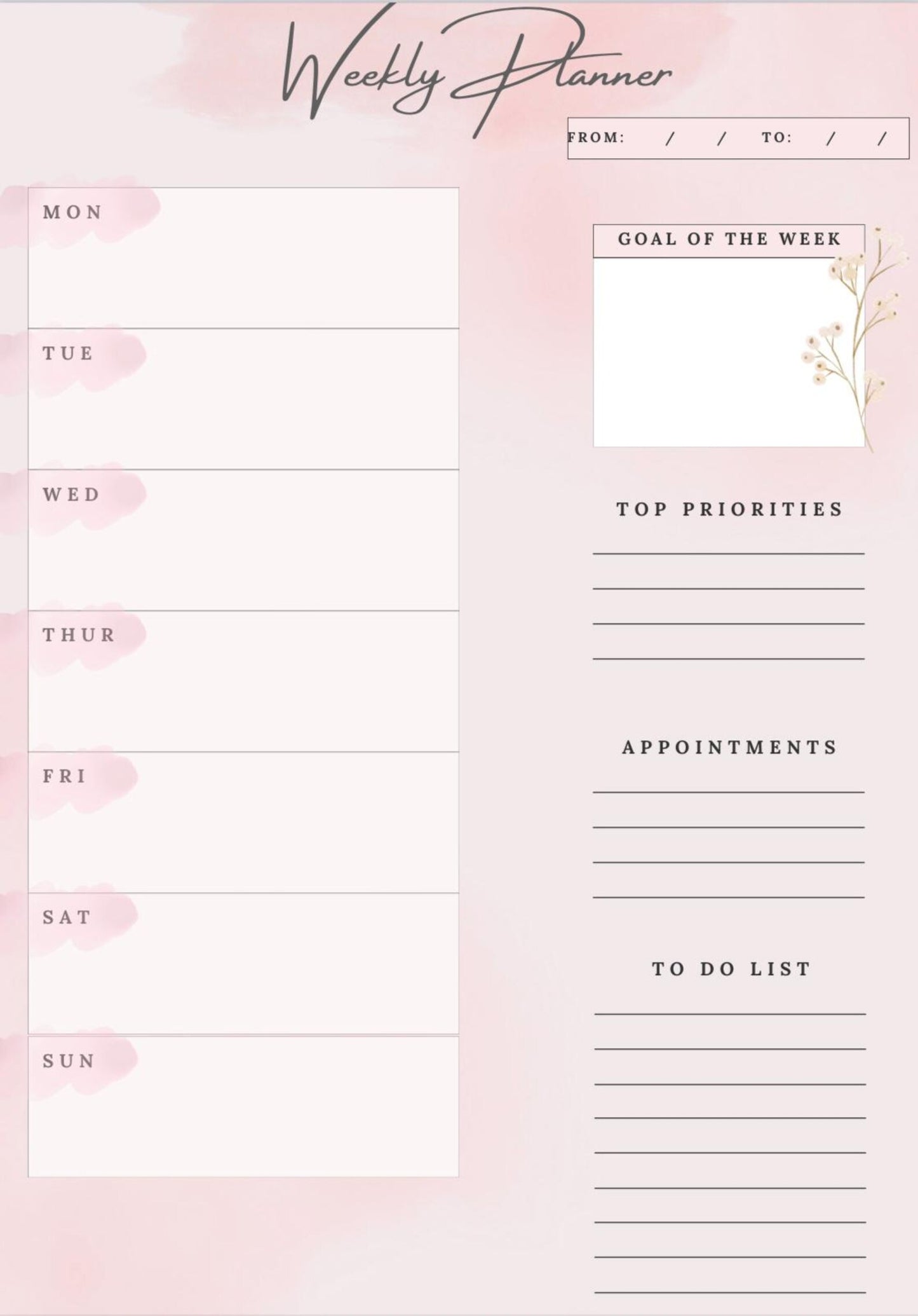 Planner orca Pro